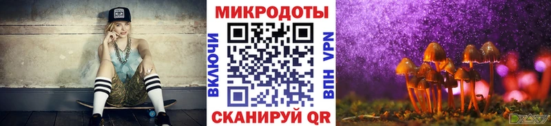где купить Новое Девяткино Псилоцибиновые грибы прущие грибы