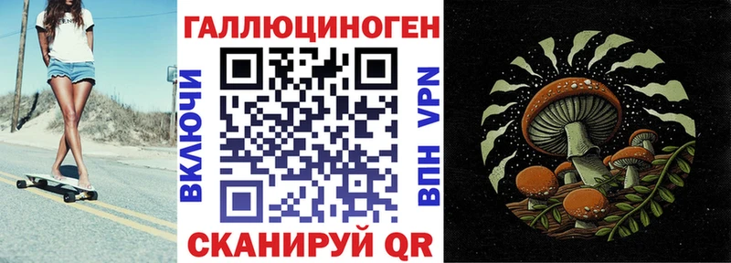 Галлюциногенные грибы Cubensis Новое Девяткино